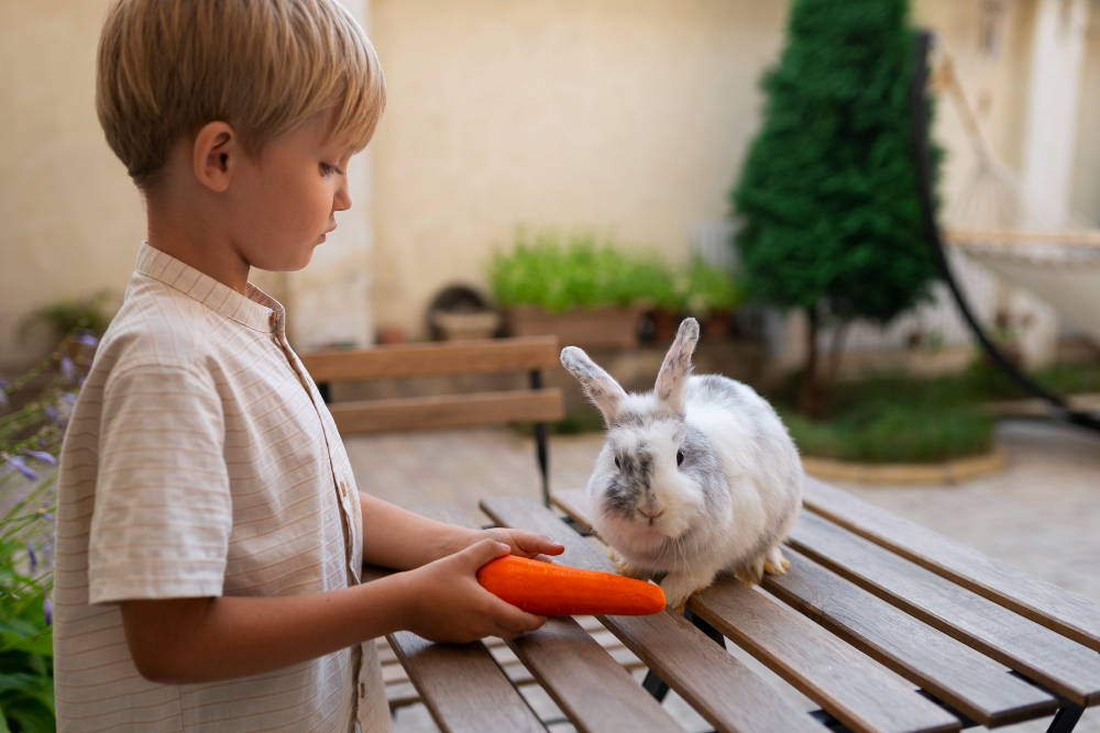 Adopter un lapin chez soi : tout ce qu’il faut savoir (caractère, alimentation, santé, prix)